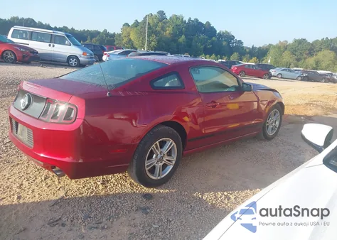 2014 Ford Mustang z USA, uszkodzony, nr VIN 1ZVBP8AMXE5240717